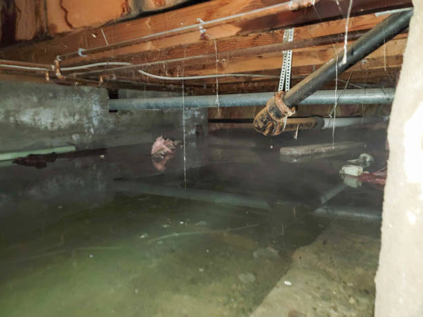Best Basement water damage restoration  in Florin, CA