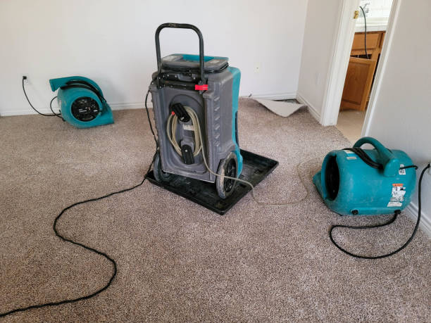 Best Flooded house restoration  in Florin, CA
