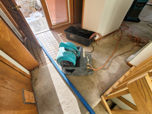 Best Sewage cleanup and water damage restoration  in Florin, CA