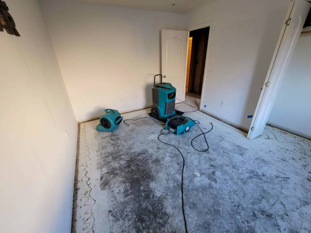 Best Mold removal after water damage  in Florin, CA