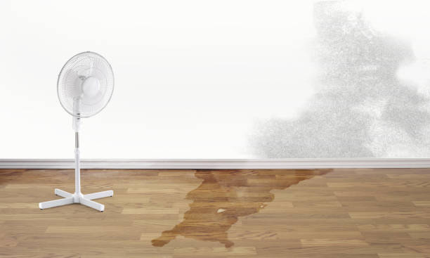Best Water damage contractors near me  in Florin, CA