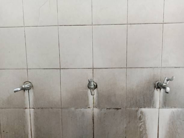 Best Water damage cleanup near me  in Florin, CA