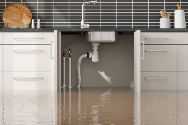 Best Fire Damage Restoration  in Florin, CA