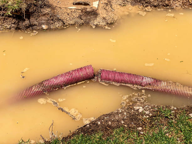 Water damage restoration experts in Florin, CA